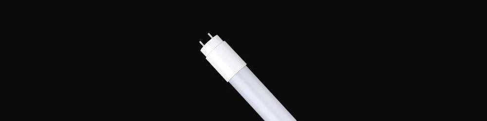 White cylindrical T8 tube with a frosted finish and dual pin base set against a solid black background