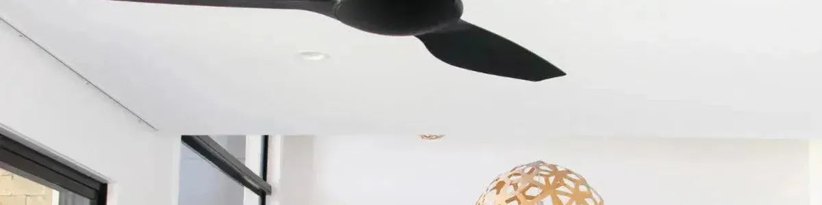 Matte black ceiling fan with curved blades mounted in a bright modern room with white walls and large windows