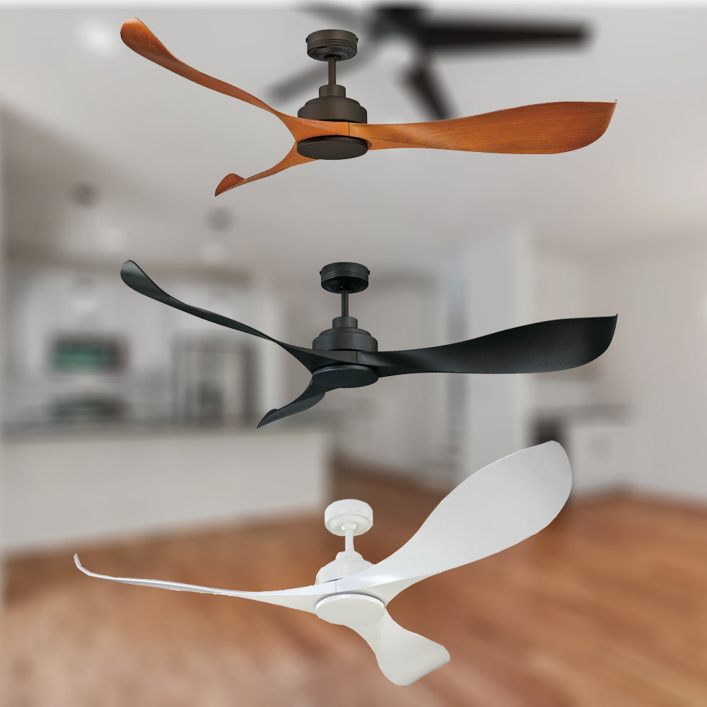 56 Dc Motor Ceiling Fan In White Black Or Oil Rubbed Bronze The Lighting Outlet Nz